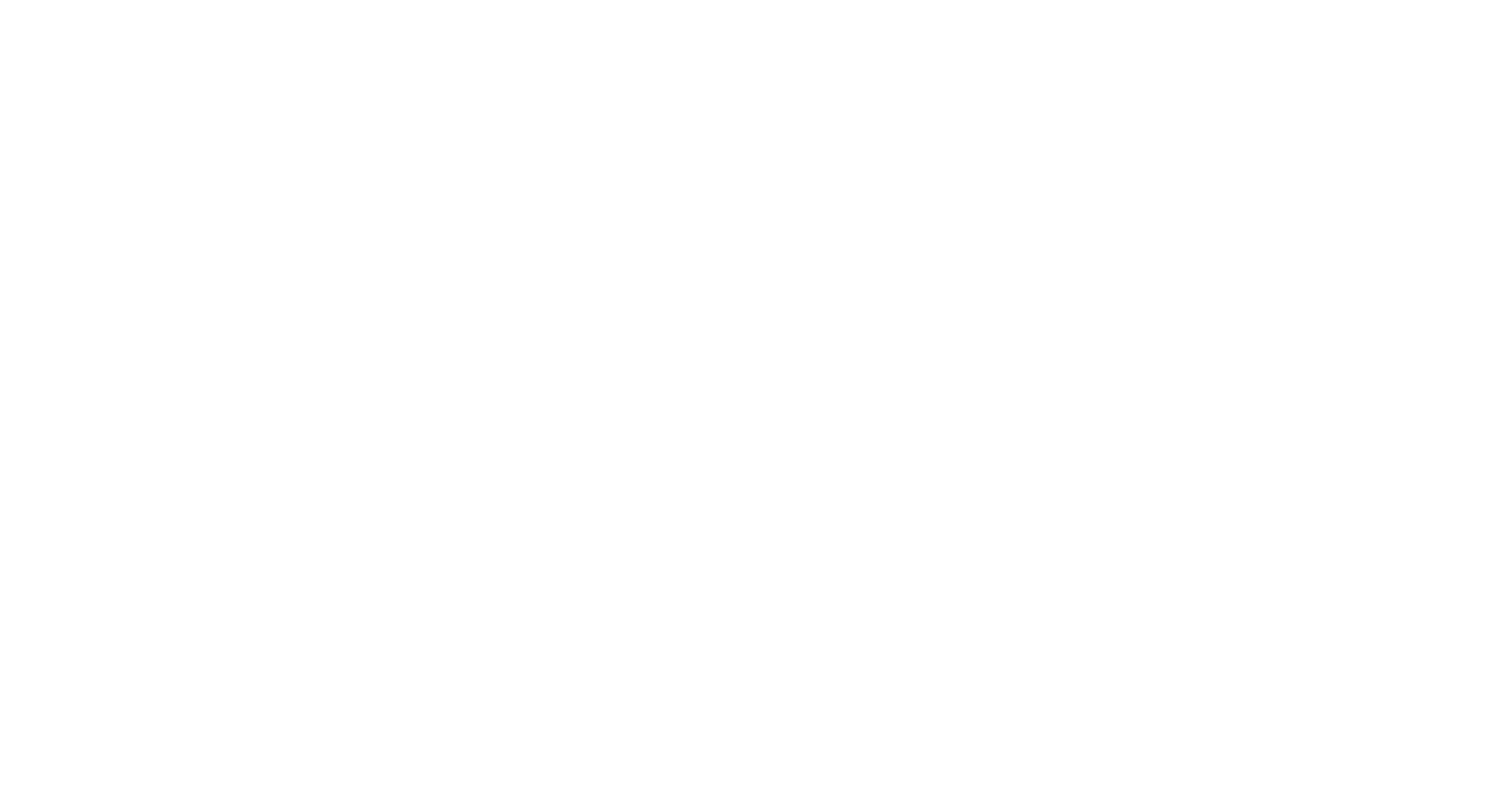 pmg-logo-old-hd-white@2x.webp